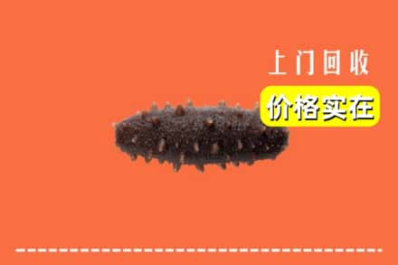 台州玉环市回收海参